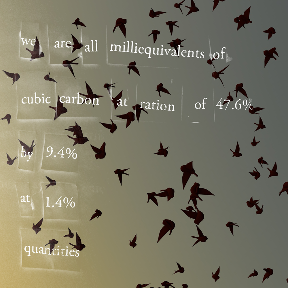 Collage of starlings with text placed on top