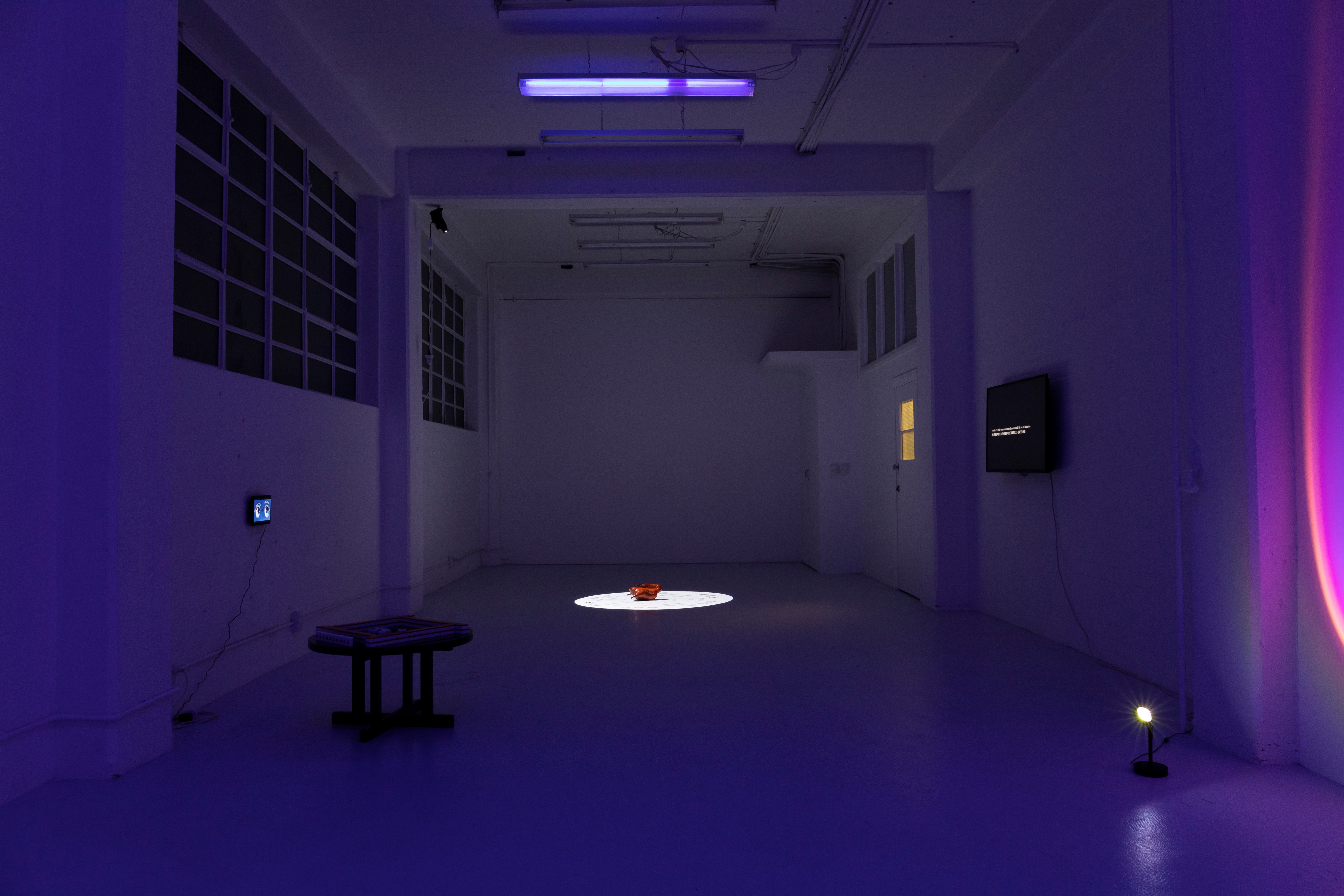 installation view of Yumoi's exhibition