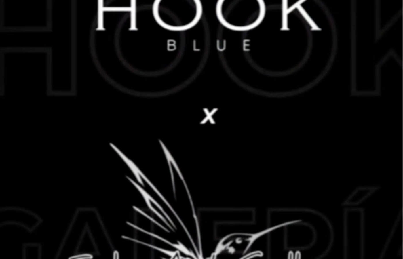 Salas x Casa de Adobe y Hook Blue