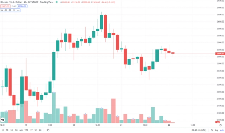 Bitcoin price chart in July 2022
