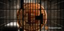 can crypto exchanges be shutdown