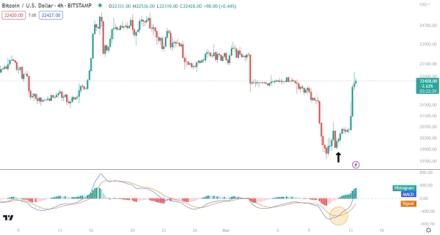 Buy on MACD cross over signal