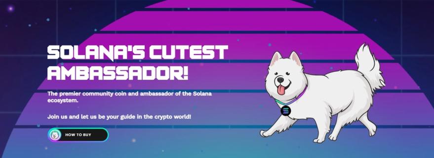 Samoyedcoin website