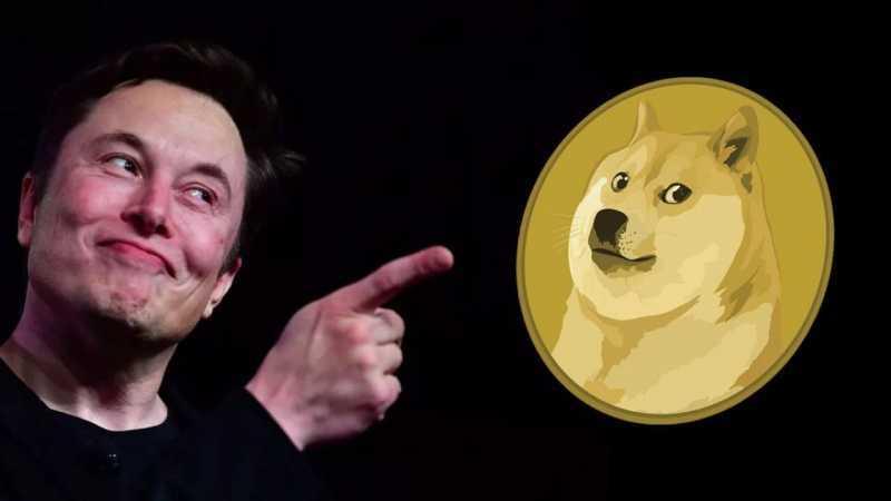 Elon musk and dogecoin