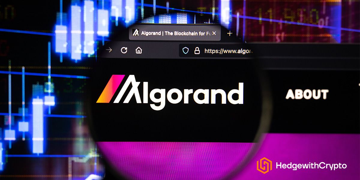 6 Best Places To Stake Algorand (ALGO) In 2022