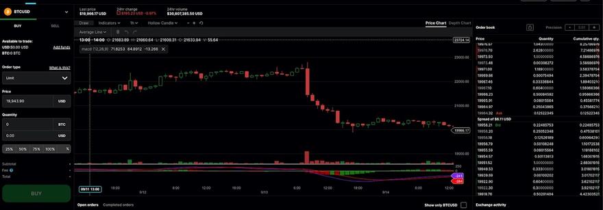 Gemini activetrader screenshot