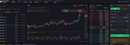 Trading screenshot of ByBit platform