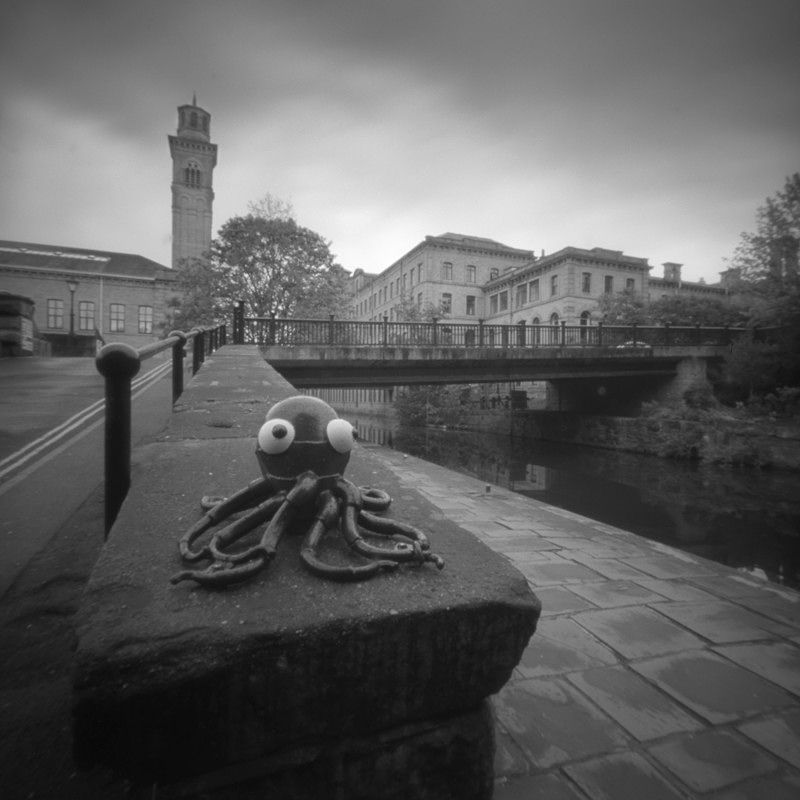 Squid by the river 