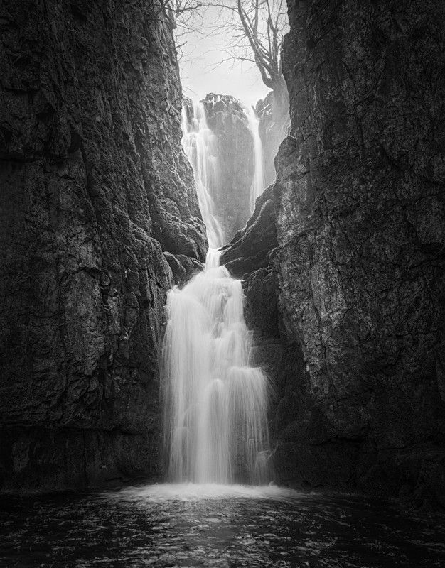 Catrigg Force