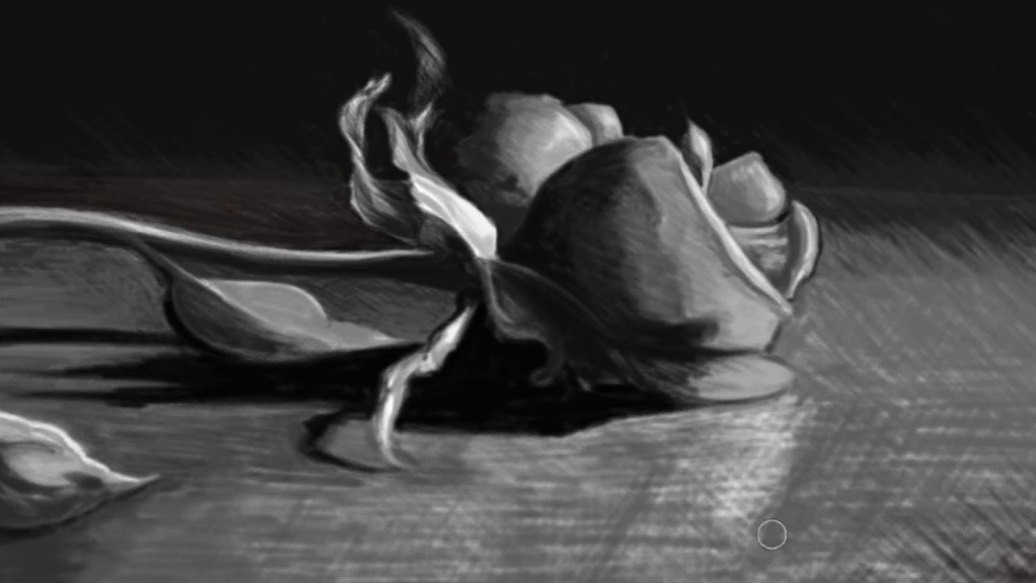 Single Rose