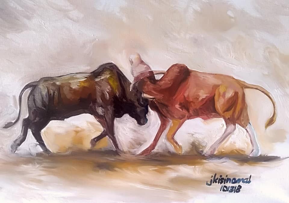 Bull Fight