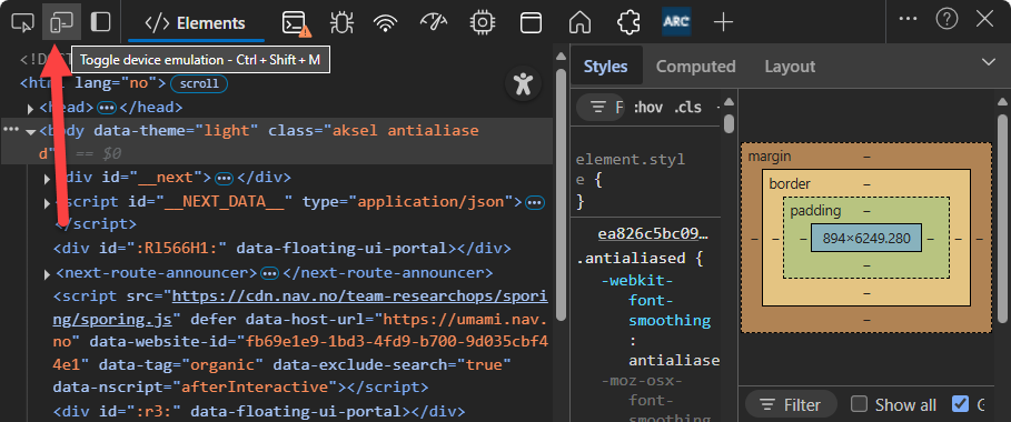 Skjermbilde fra DevTools i Edge