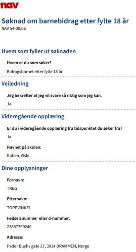 Ny PDF