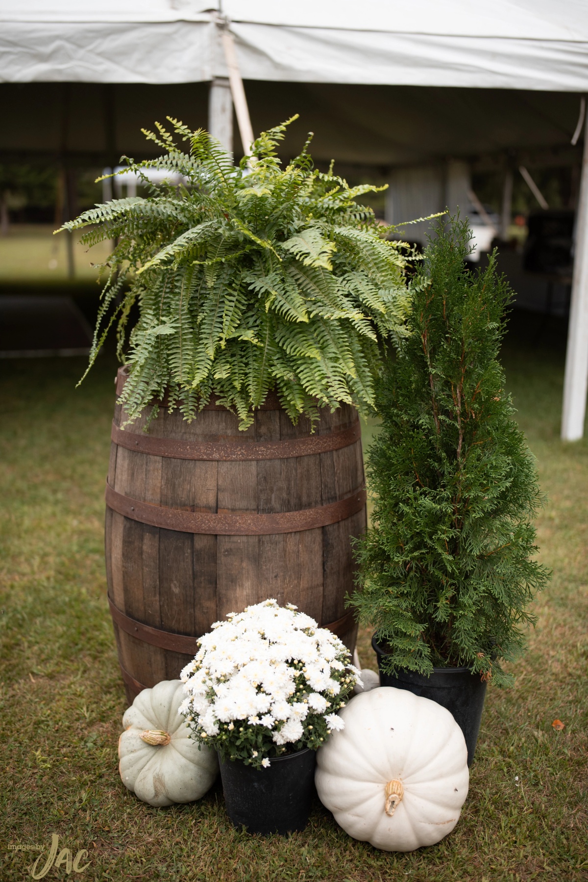 Jennifer + Ryan — photo 2