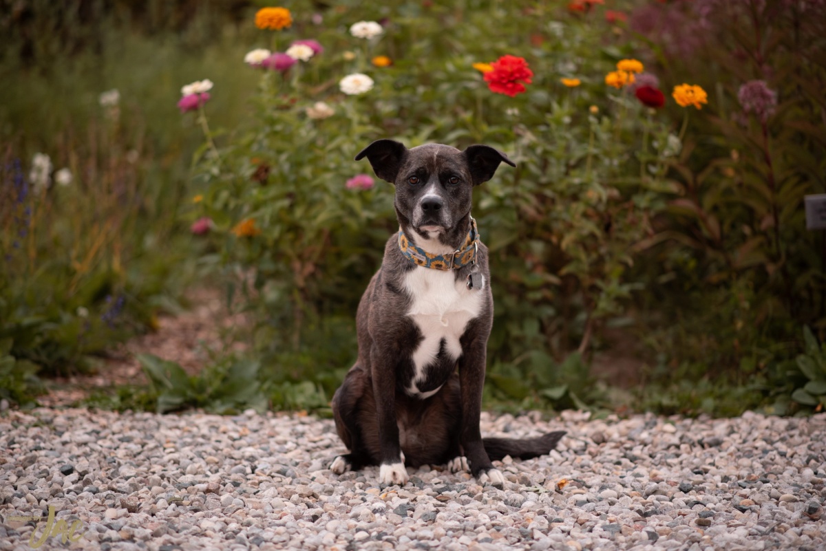 Olivia + Shaun — photo 29