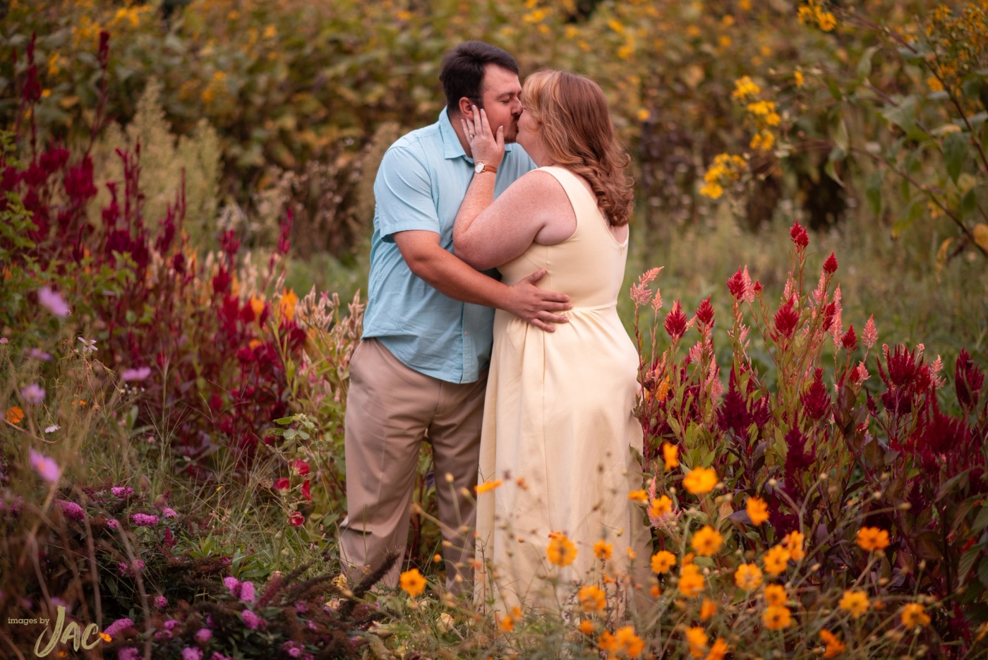 A couple kiss among tall autumn flowers