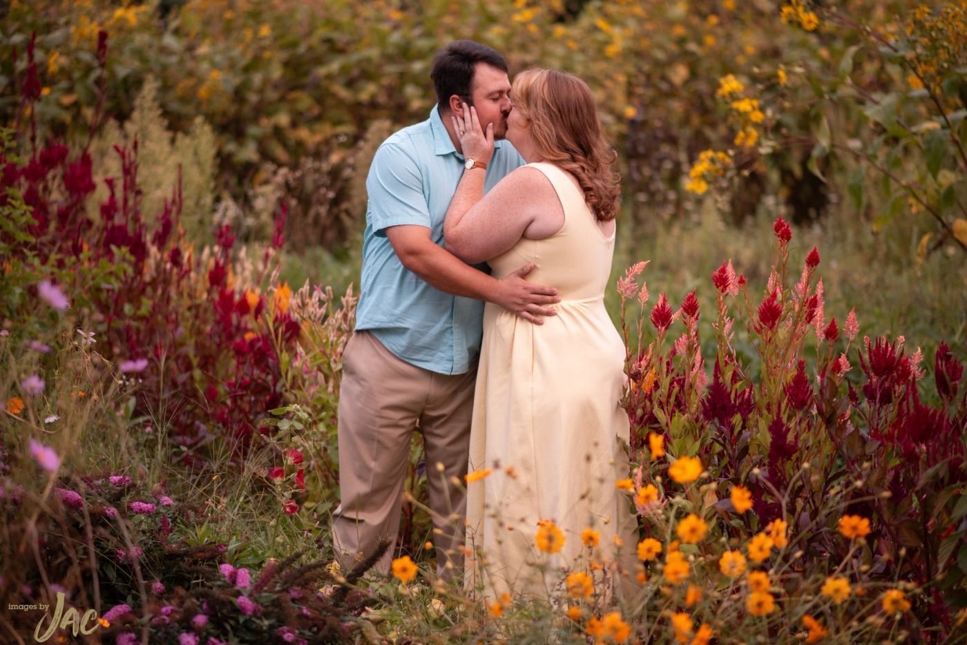 A couple kiss among tall autumn flowers