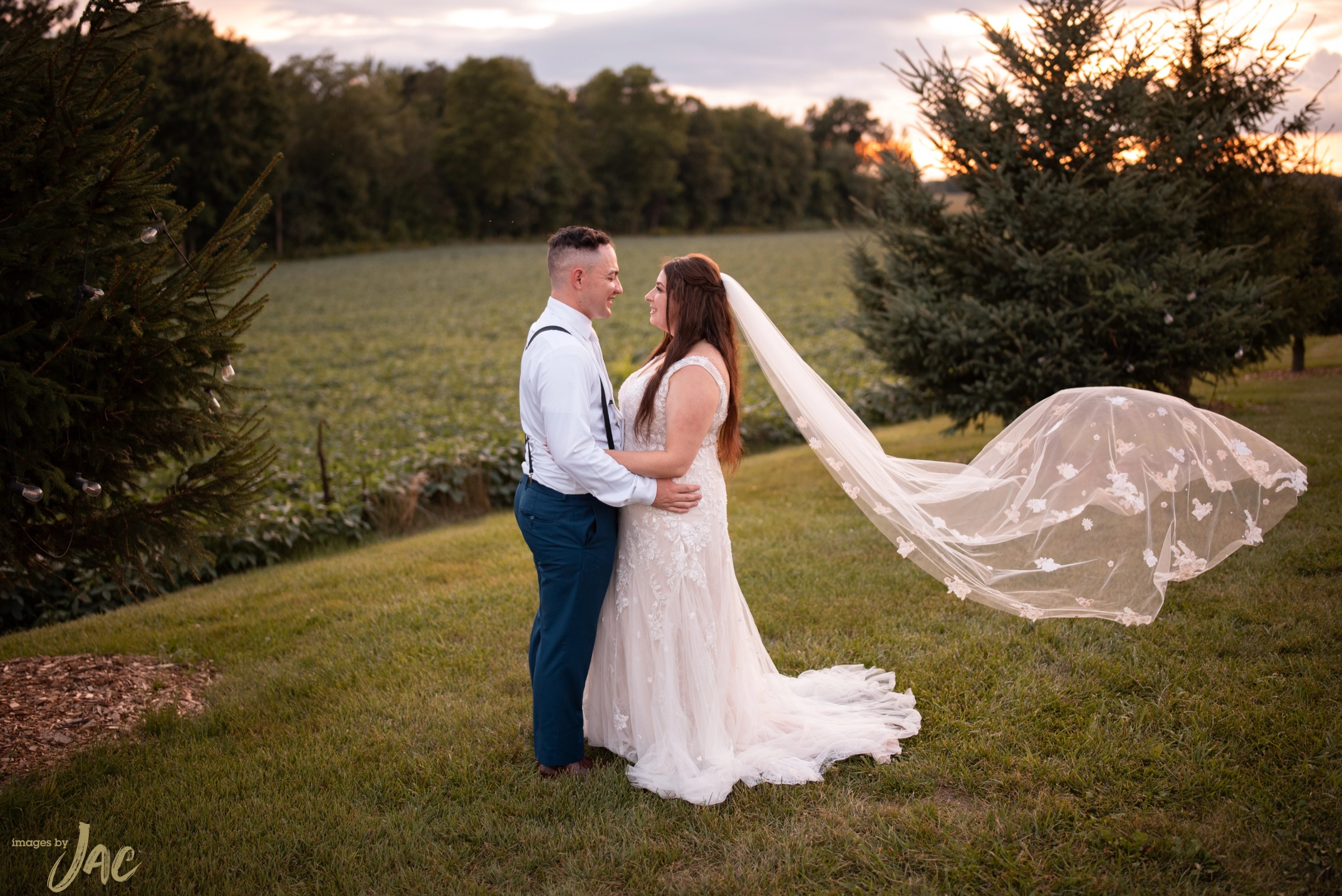 A bride's veil sweeping across an open field
