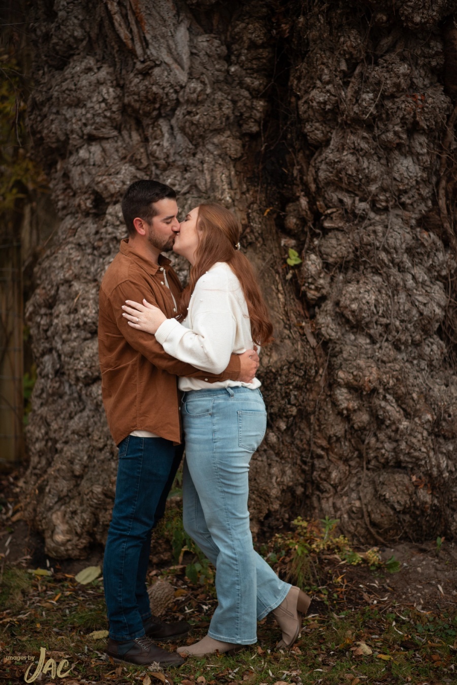 A couple kiss against the trunk of an enormous gnarled tree