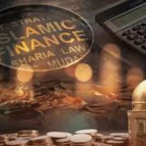 Islamic Banking; The Great Expectations