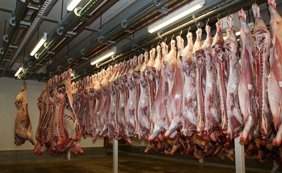 Iran war crashes Kenya's $2.3m weekly meat exports to Middle East