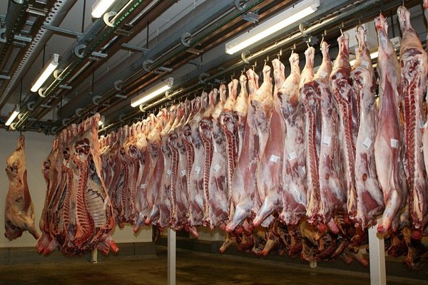 Iran war crashes Kenya's $2.3m weekly meat exports to Middle East