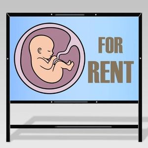 Surrogacy in Islam: Preserving Lineage and the Sanctity of Family