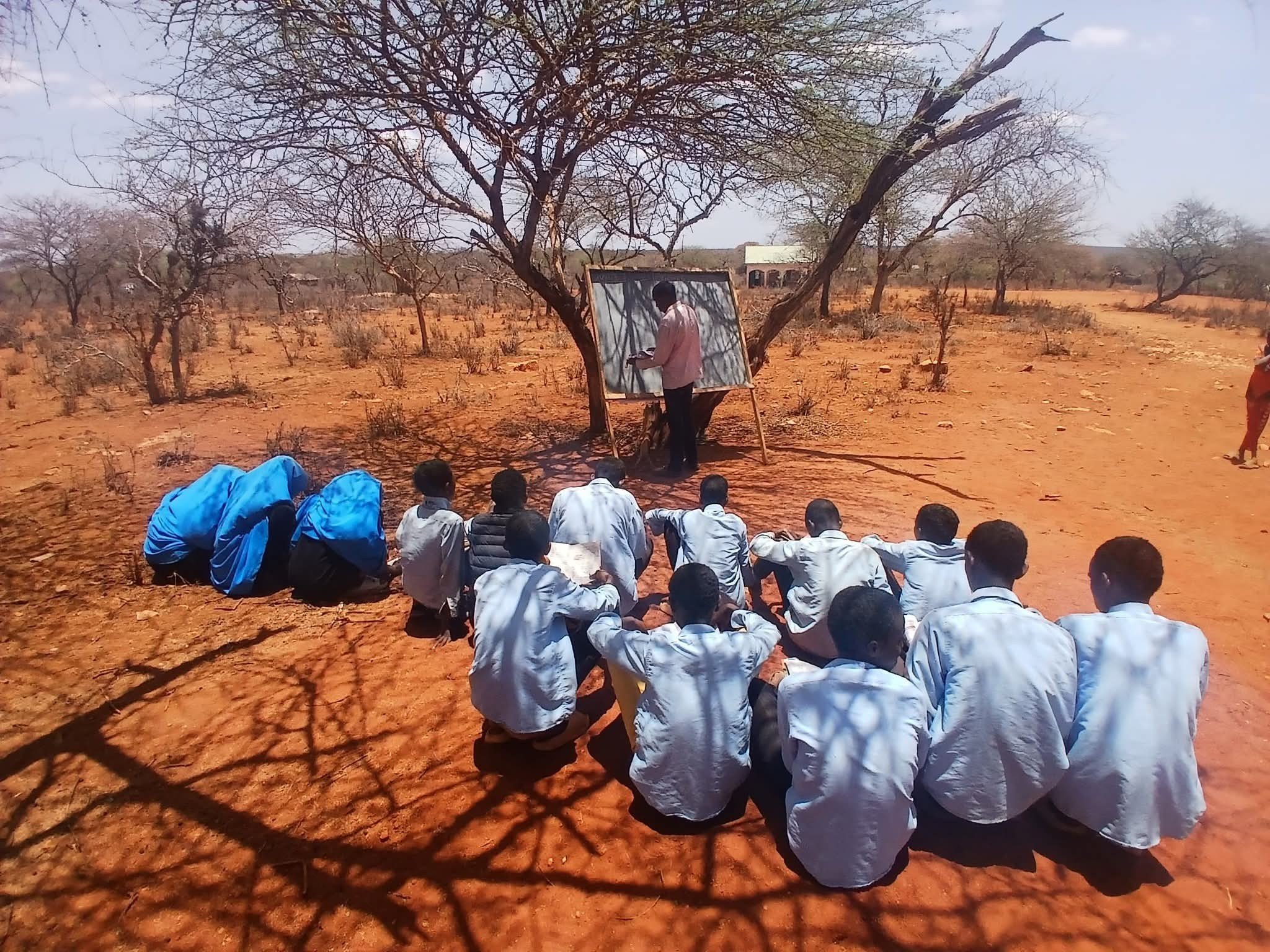 School children studying under a tree in North Eastern