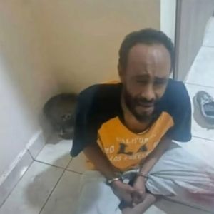 Tragic incident in Eastleigh as son kills mother