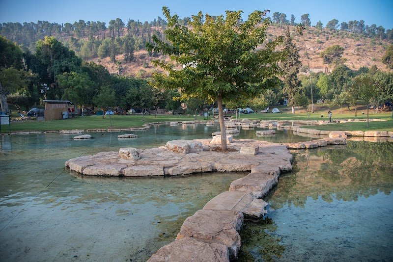 Ain Jalut in occupied Palestine