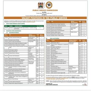 Vacant positions in the Public Service