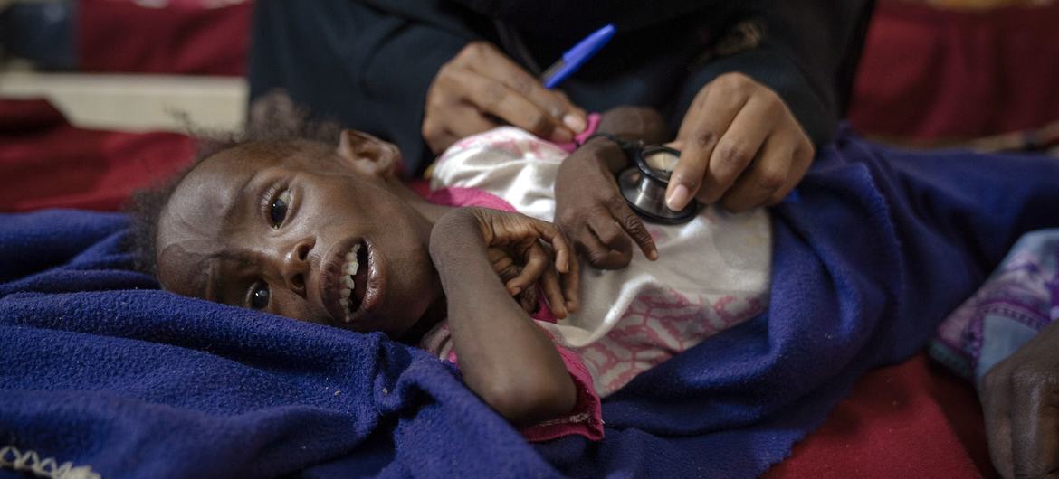 NAMLEF launches fundraiser for Sudan