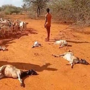 Declare drought a national disaster, NEP leaders urge government
