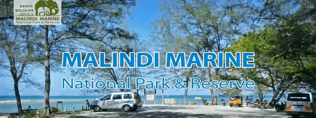 Free entry to National Parks on Saturday Sept 27