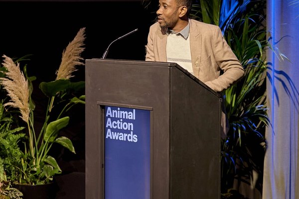 Kenyan scientist wins global award in animal conservation