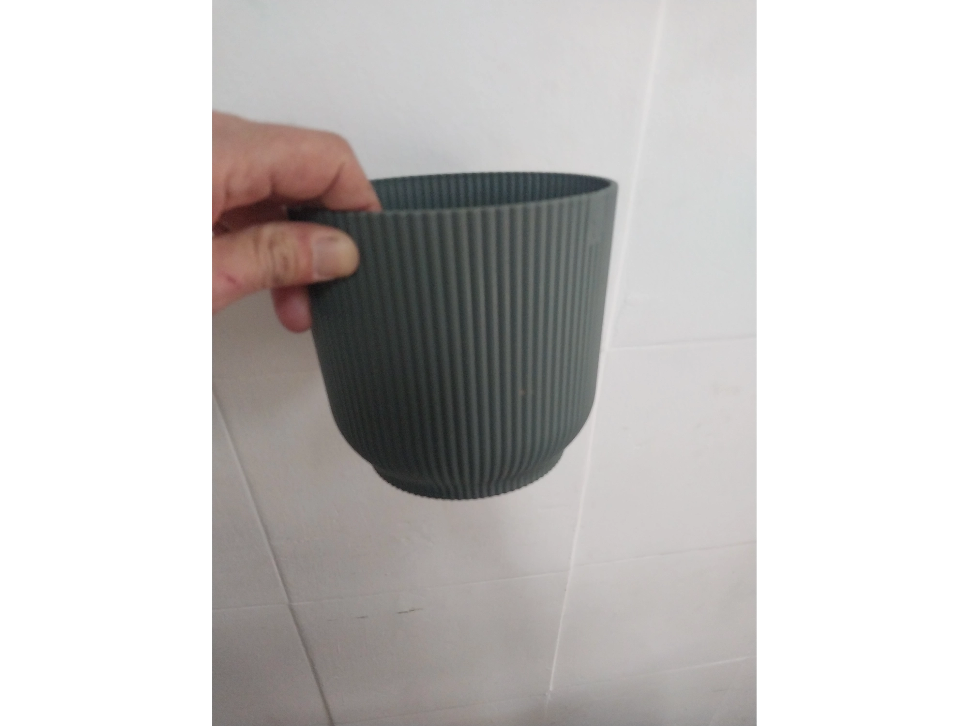 maceta para plantas