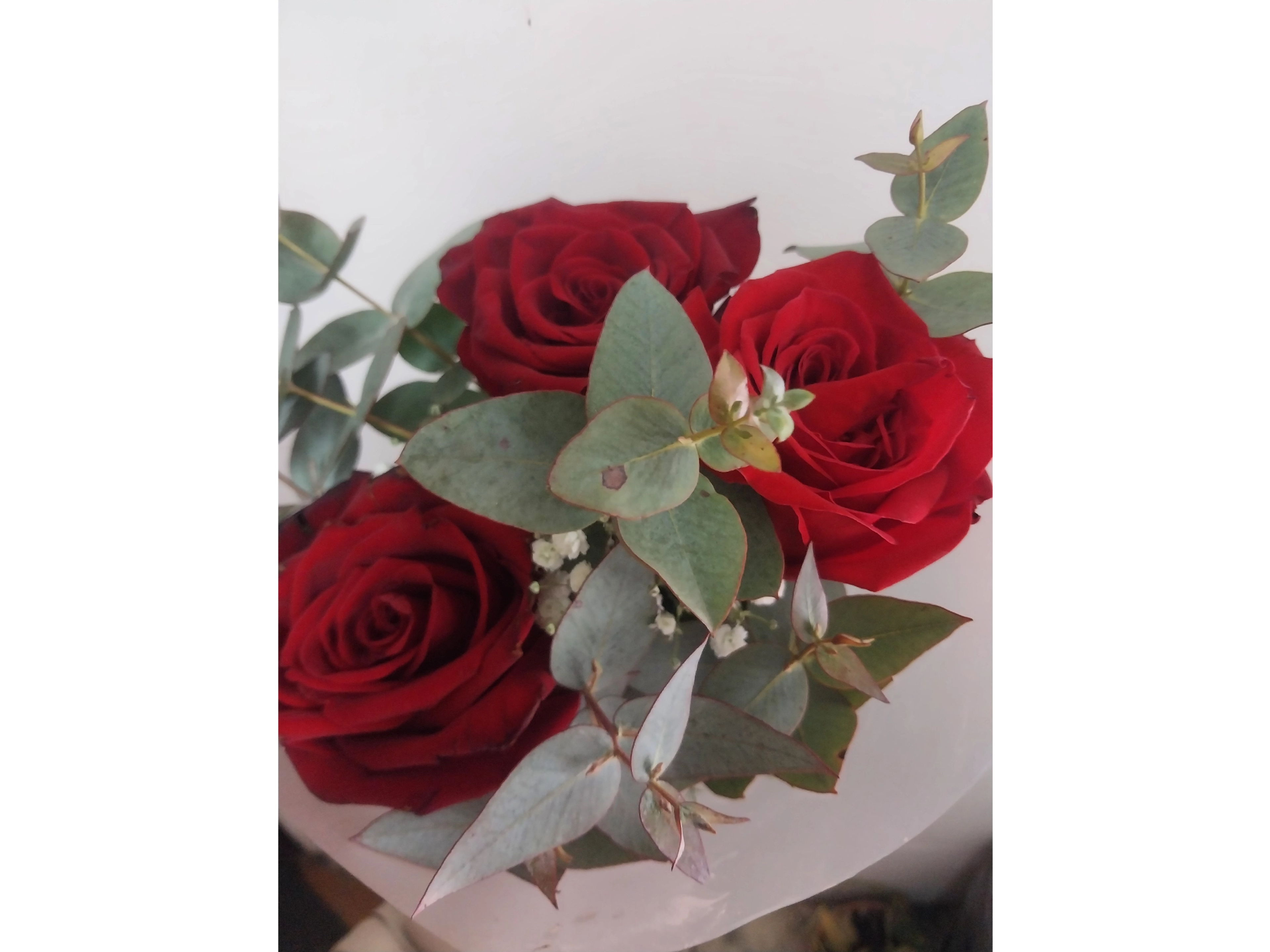 ramo de rosas rojas