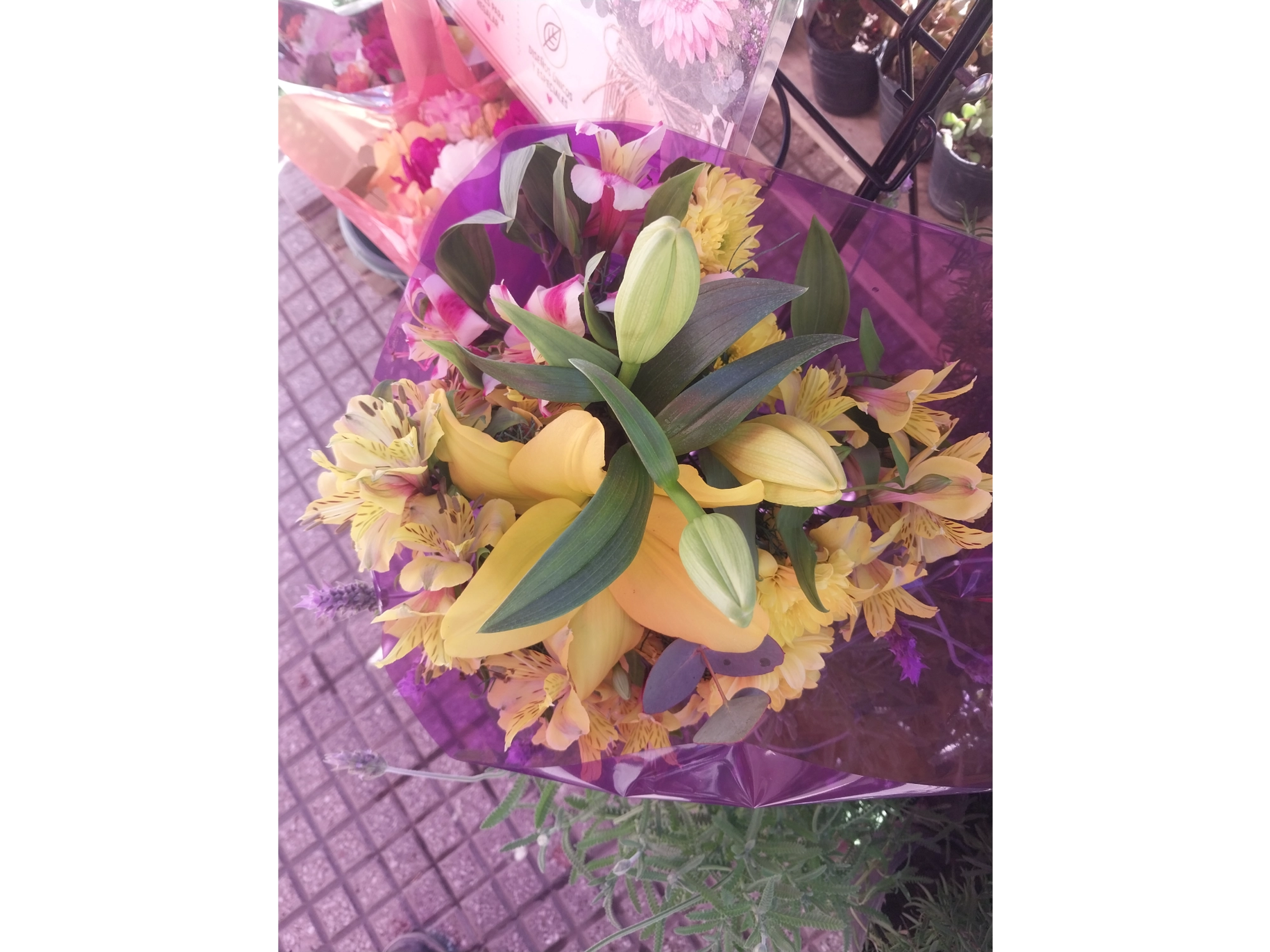 ramo con lilium