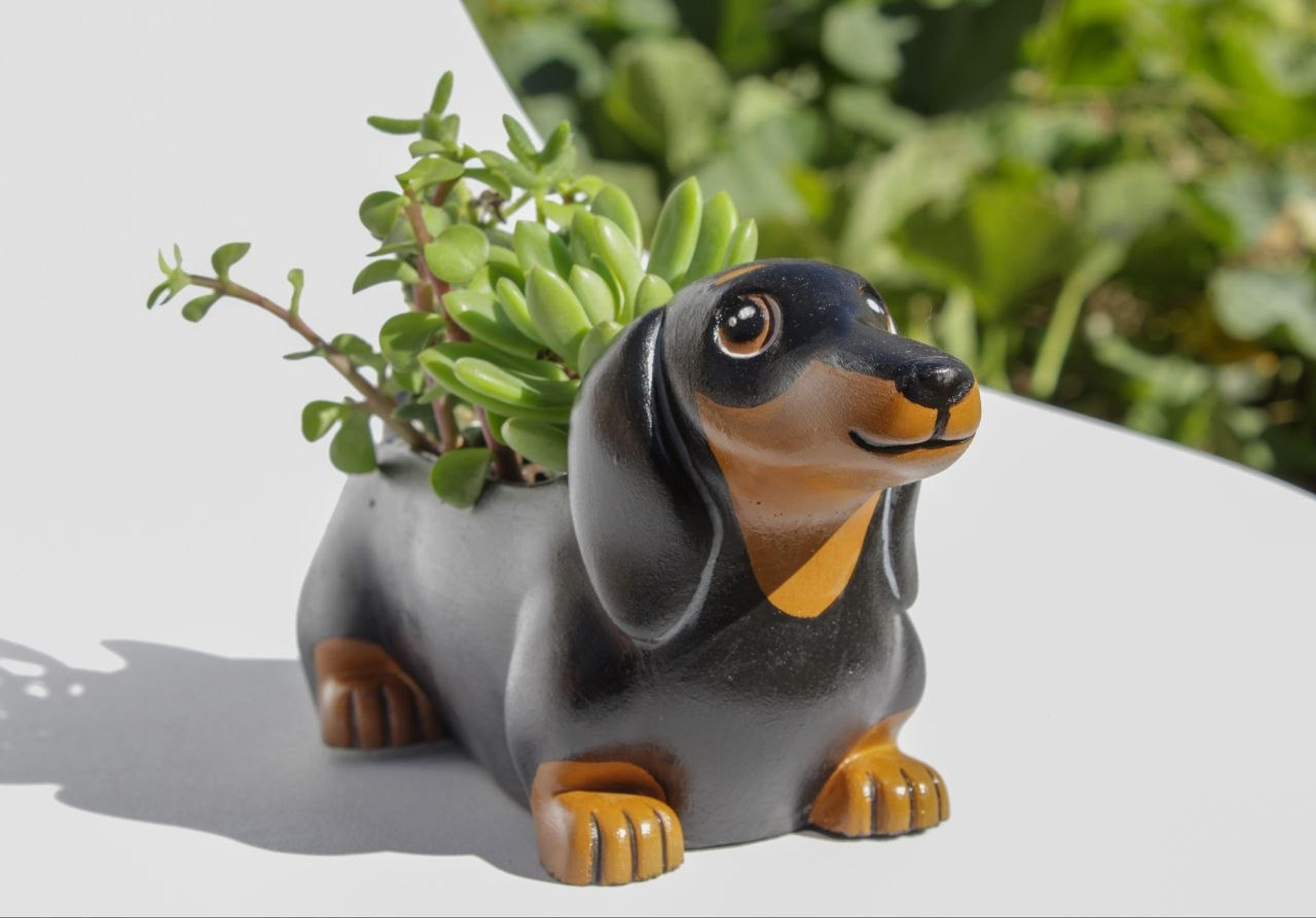 maceta de perro salchicha negro y marron con suculenta