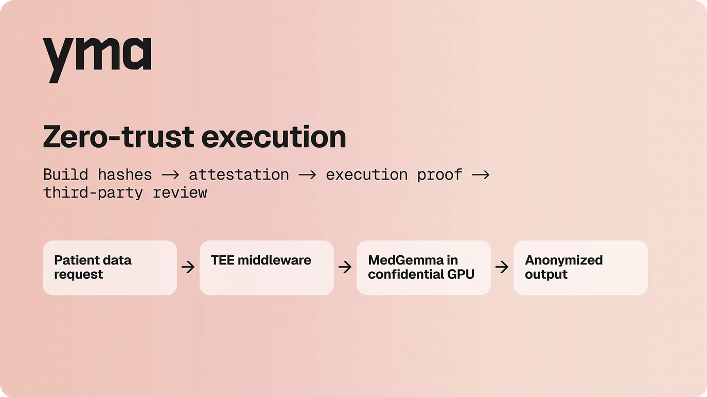 Zero-trust execution of healthcare data interpretation by AI systems