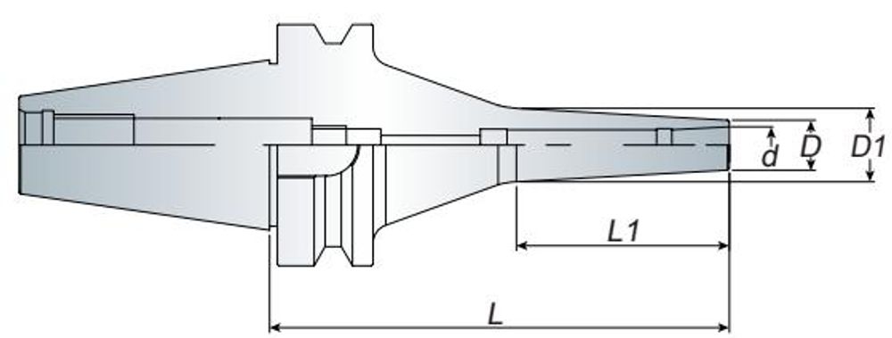 Annway LDS High Speed Collet Chuck BT-series dimensions