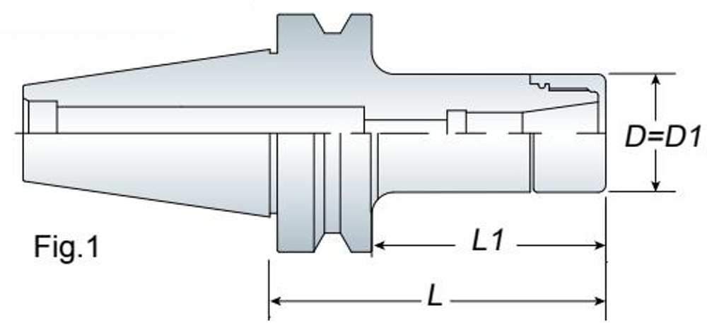 Annway AVC High Speed Collet Chuck Fig.1 dimensions