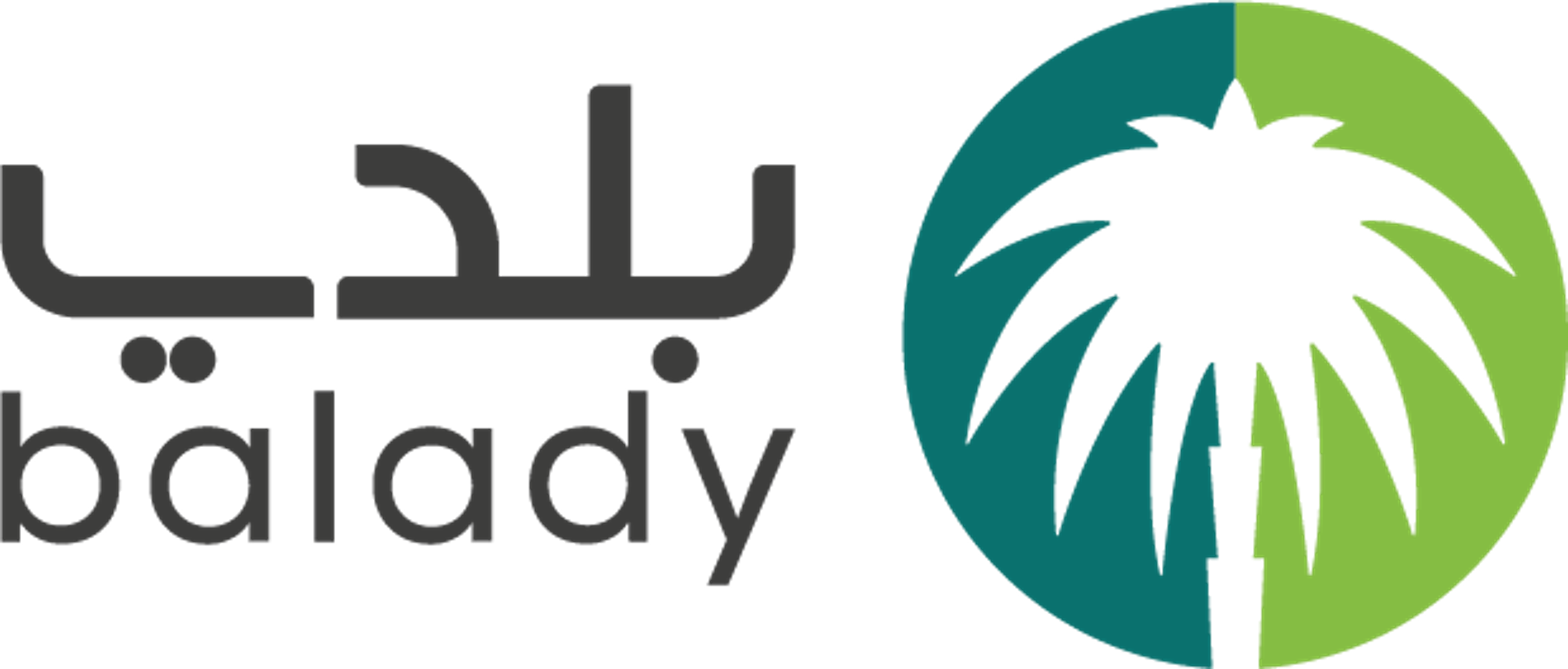 Balady logo