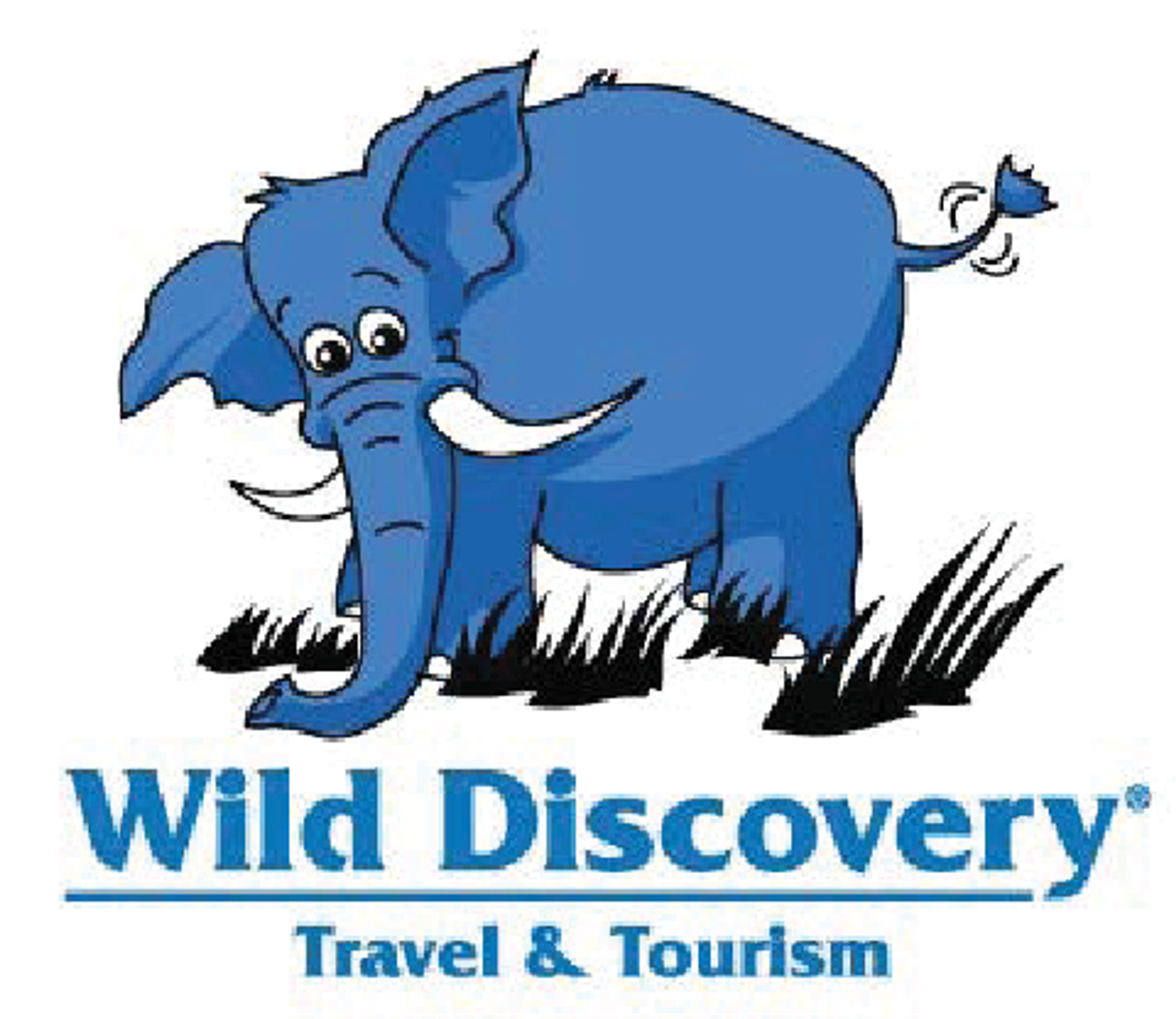 Wild Discovery Travel & Tourism logo