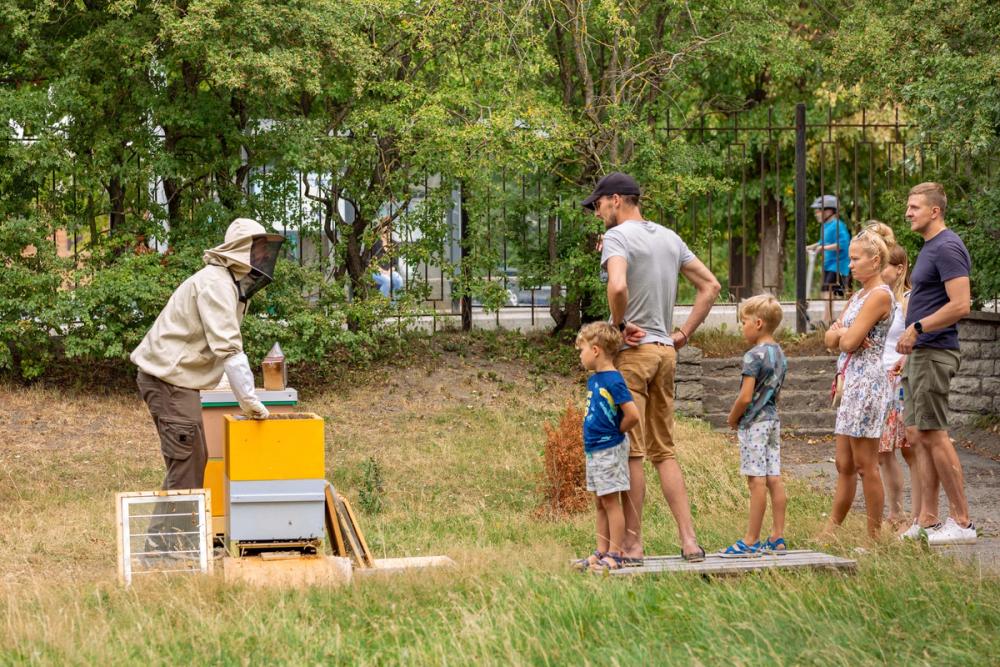 Roland the beekeeper-galleryimage-6