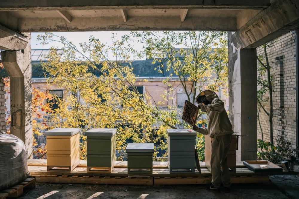 Roland the beekeeper-galleryimage-2