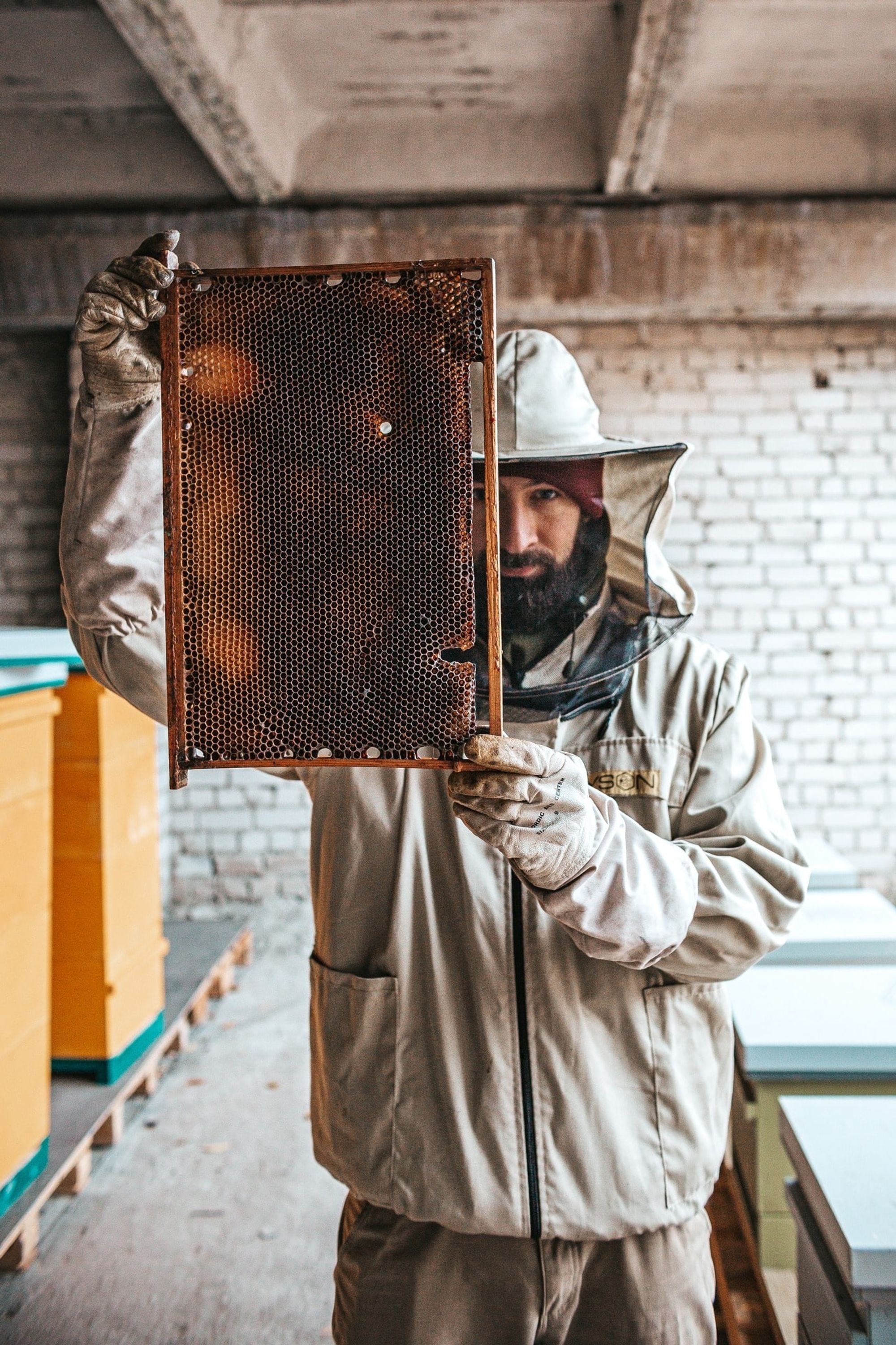 roland the beekeeper-hero-image