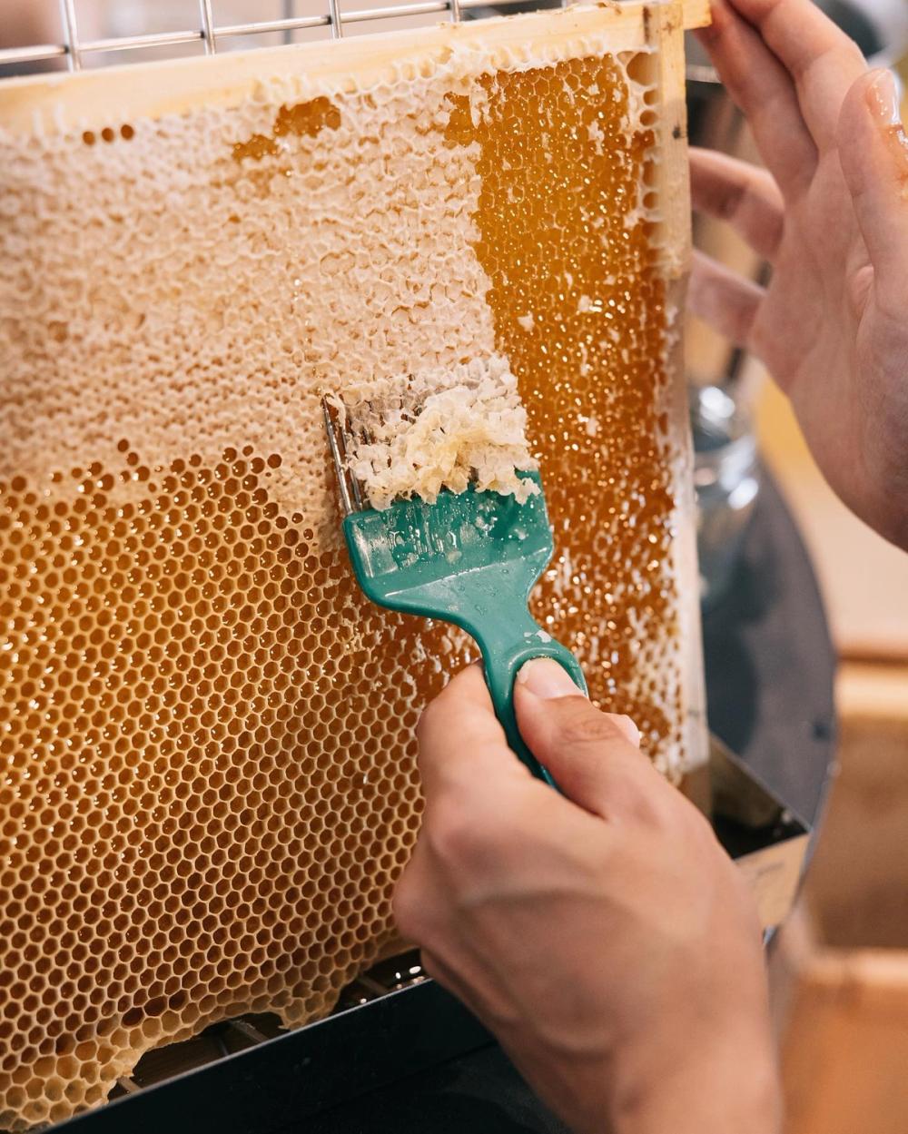 Roland the beekeeper-galleryimage-4