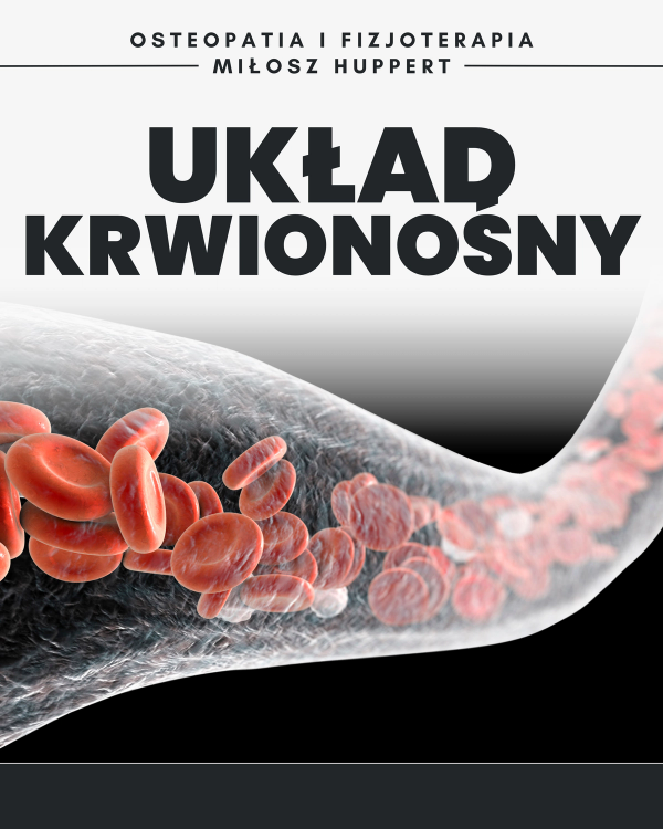 układ krwionośny