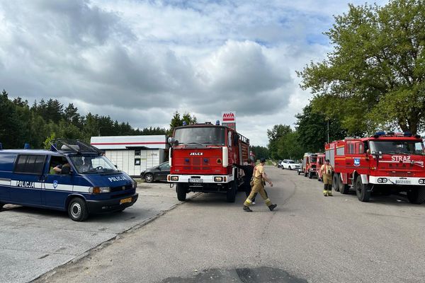 Branding - Projekt marki - Projekt graficzny Sandra Huppert